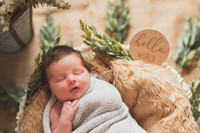 Edwards Newborn