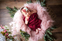 Benites Newborn