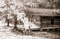 Anderson Maternity